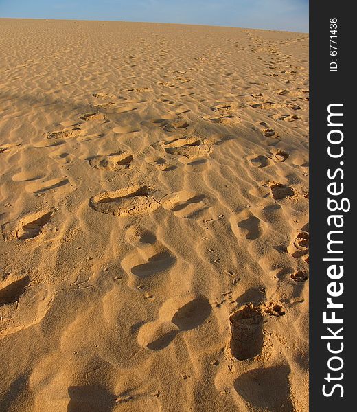 Footprints on the sandy desert.