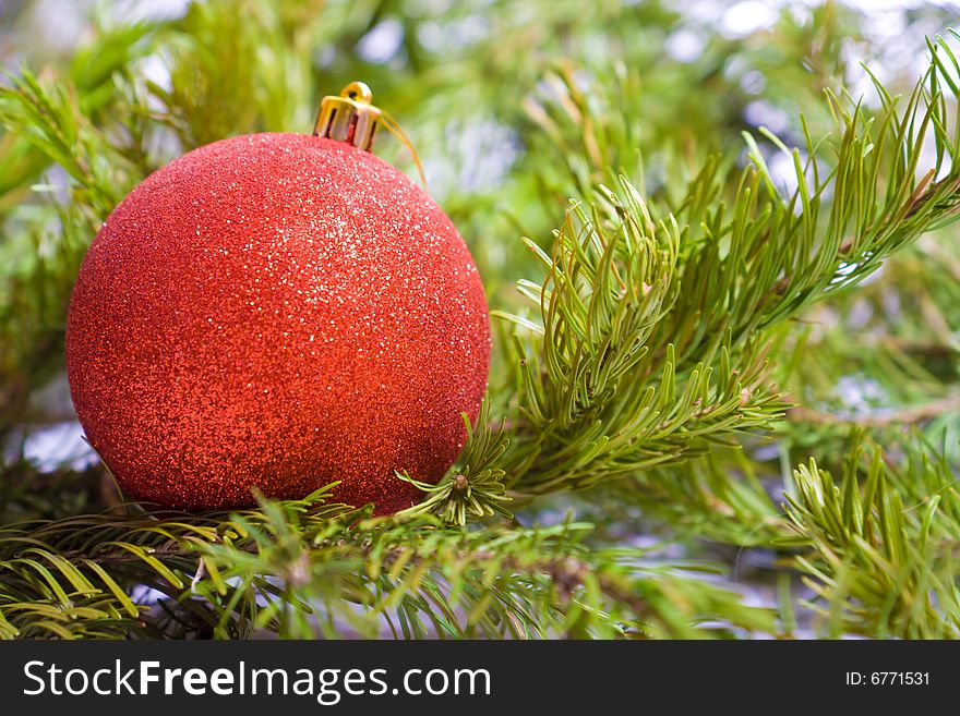 Christmas decoration red ball and pine branch