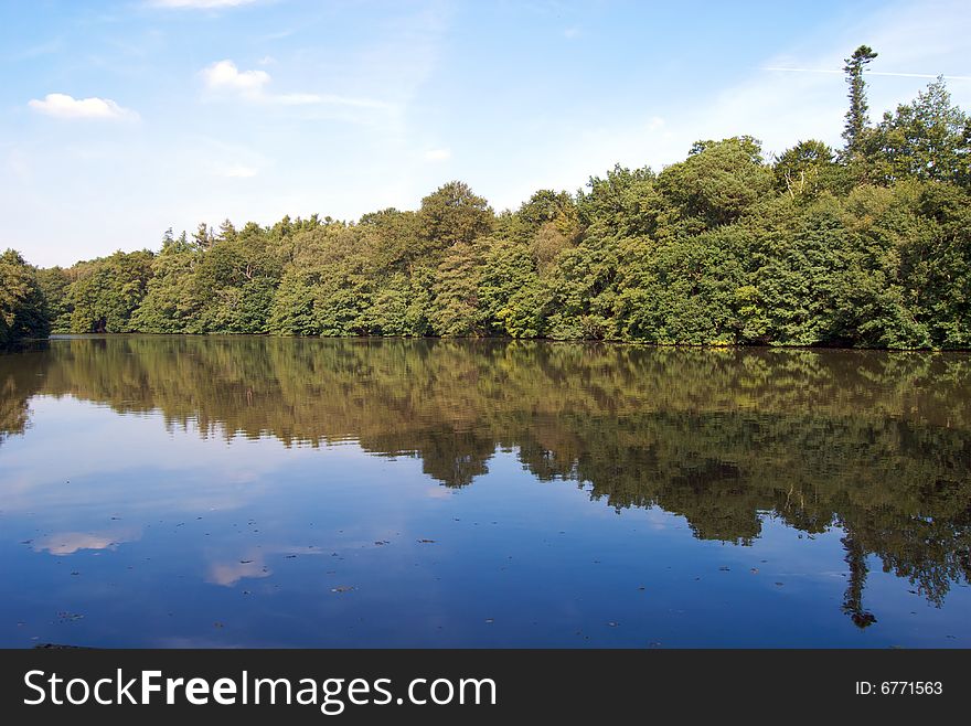 Trees Reflecting In The Lake