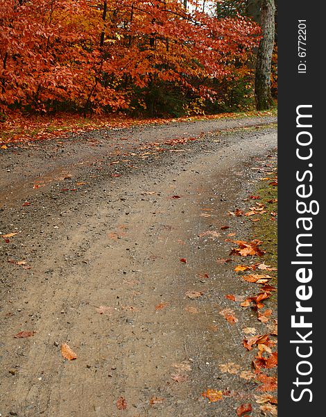 Dirt road with autumn leaves. Dirt road with autumn leaves