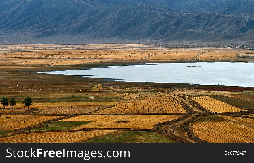 Farmland With Lake