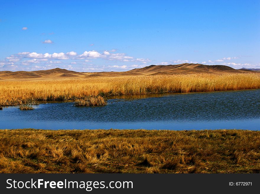 It wad taken at Xilin Gol Grassland inner mongolia china in early October.under the blue sky and white clouds, autumn came. It wad taken at Xilin Gol Grassland inner mongolia china in early October.under the blue sky and white clouds, autumn came