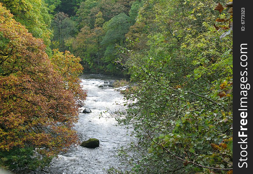 River Greta flowing through woods in the autumn. River Greta flowing through woods in the autumn