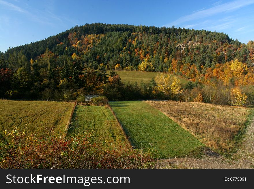 Forest durign autumn period in Czech Republic