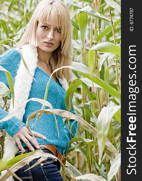 Young beauty blond woman in a cornfield. Young beauty blond woman in a cornfield