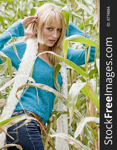 Young beauty blond woman in a cornfield. Young beauty blond woman in a cornfield