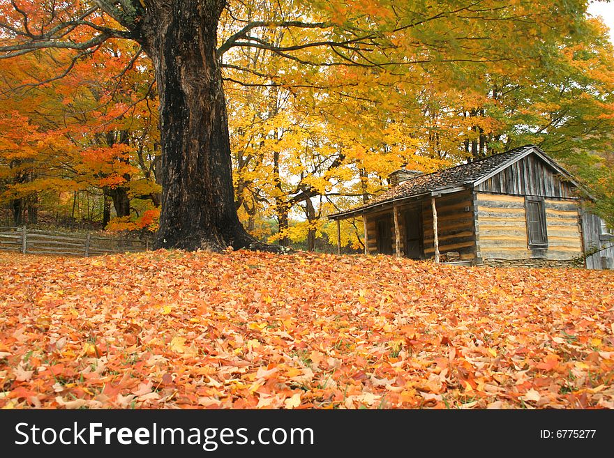 An old cabin in Virginia at the Grayson Highlands state park during fall of the year. An old cabin in Virginia at the Grayson Highlands state park during fall of the year.