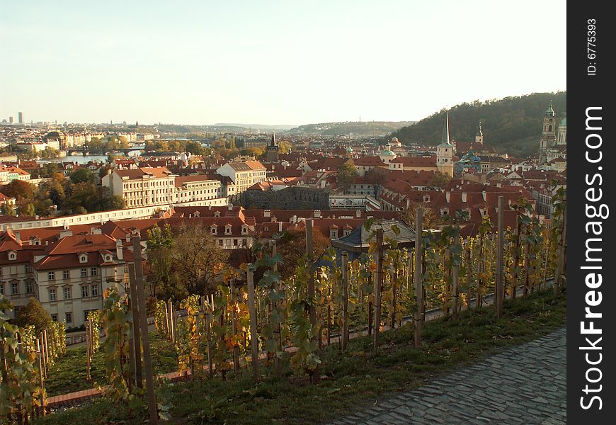 Panorama look from St. Wenceslas vineyards to Prague.