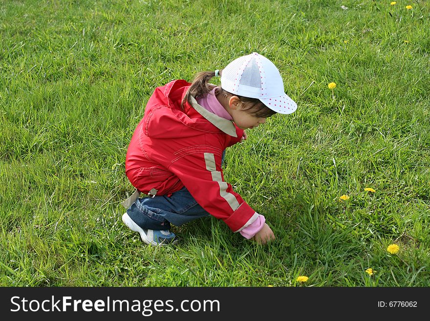 Little Girl In Red Coat Tear Flower