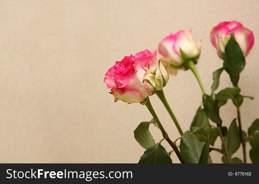 Bouquet Of Roses