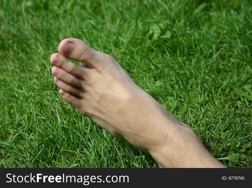 A foot in green meadow