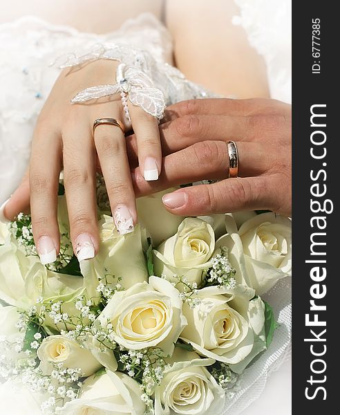 Hands of bride and groom with rings