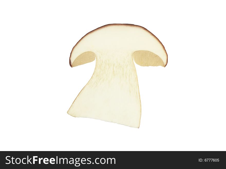 Cep slice, are isolated on a white background