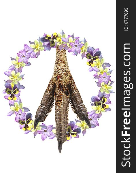 The sign of pacifism, is executed in the form of a collage from the bird's pad and flowers