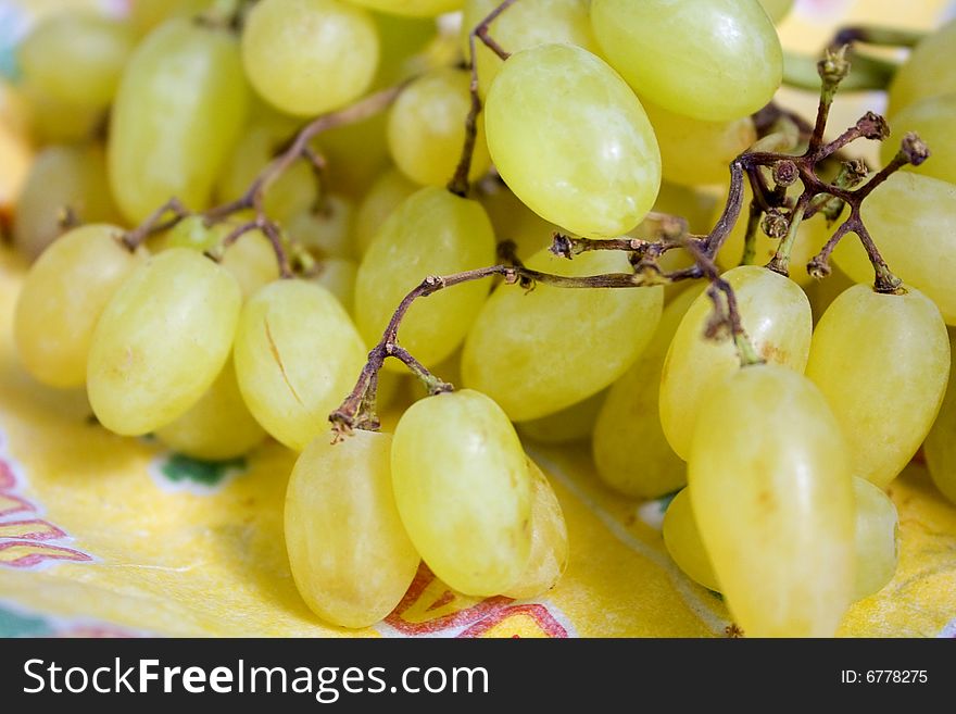 Branch of white grapes on a yellow background. Branch of white grapes on a yellow background