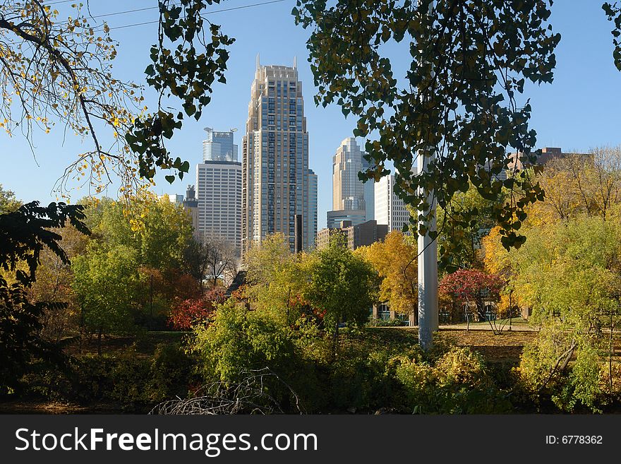 A picture of fall foliage with downtown city towers in background. A picture of fall foliage with downtown city towers in background