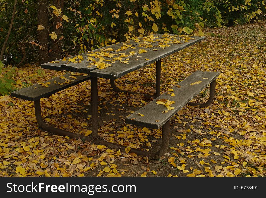 A picture of fall leaves on picnic table. A picture of fall leaves on picnic table