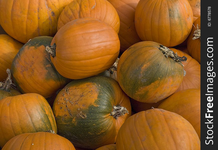 Close-up of harvested orange pumpkins. Close-up of harvested orange pumpkins