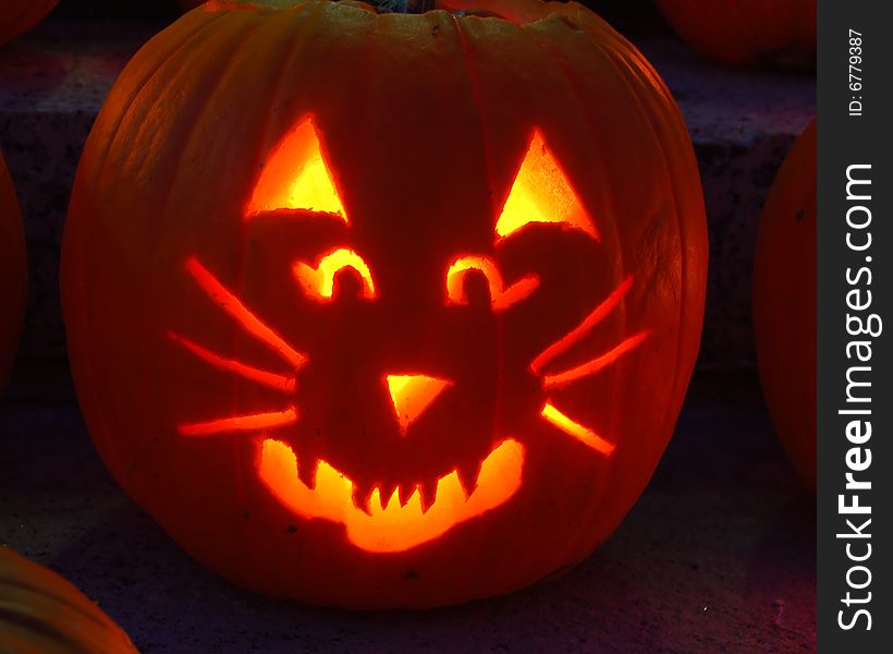 A glowing pumpkin at night, carved in the shape of a cat. A glowing pumpkin at night, carved in the shape of a cat.