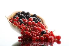 Macro Berry Stock Photos Macro Berry Stock Photos