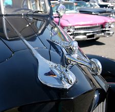 Classic Cars. Detail Stock Photography Classic Cars. Detail Stock Photography