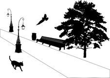 Cat And Bird In Park Stock Photos Cat And Bird In Park Stock Photos