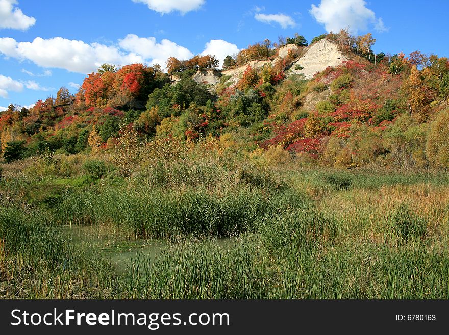 Mountains covered colored autumn trees. Mountains covered colored autumn trees