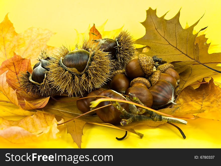 Autumnal Decoration With Leafs,chestnuts And Acorn