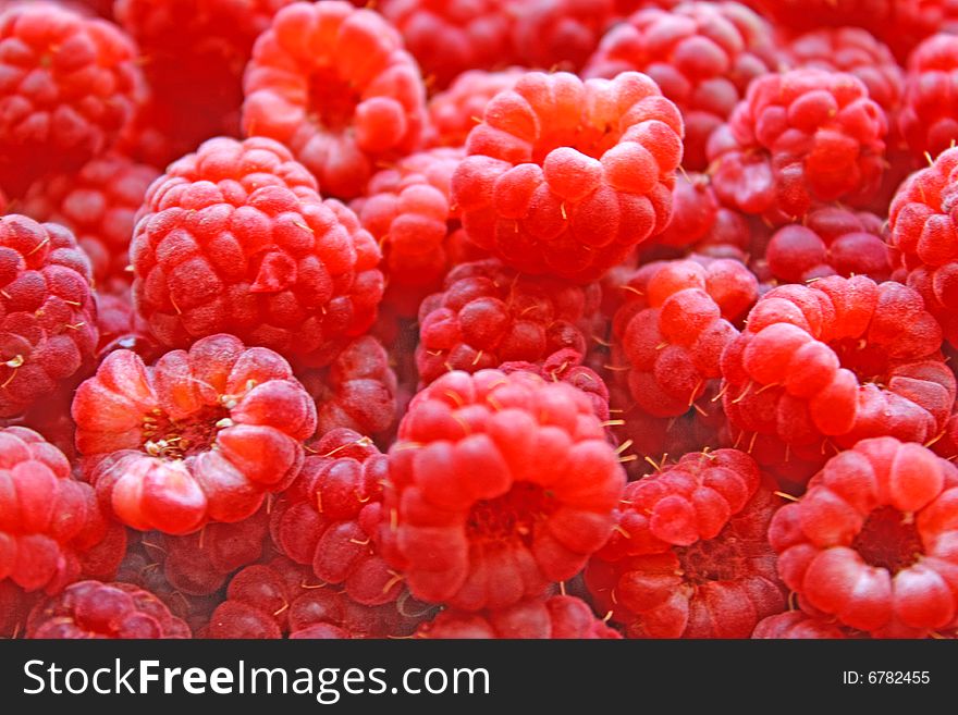 Close up of the raspberry for the background