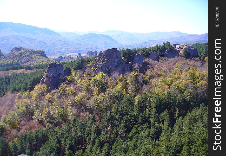 forest view near Belogradchik fortress Bulgaria. forest view near Belogradchik fortress Bulgaria