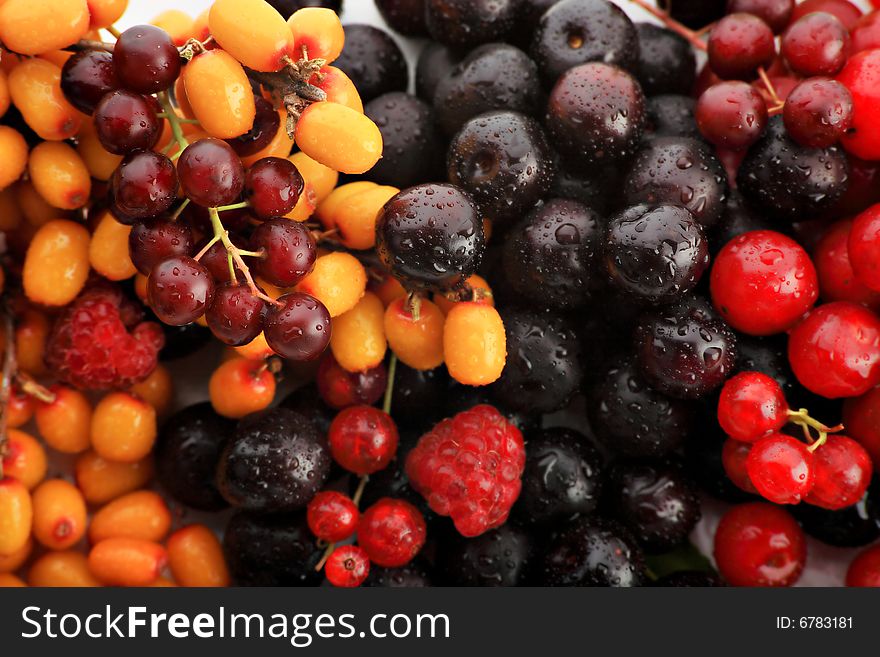 Fresh Vegetables, Fruits and other foodstuffs. Berries. Fresh Vegetables, Fruits and other foodstuffs. Berries