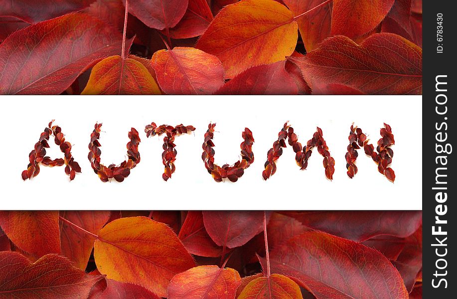 Word AUTUMN from beautiful leaves