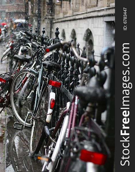 Many bicycles, ready to be used