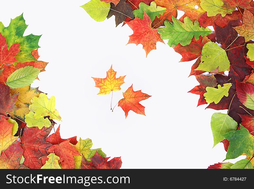 Autumn frame isolated on white background