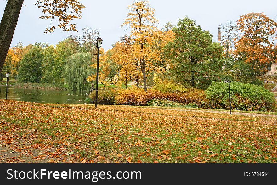 Background with beautiful autumn park. Background with beautiful autumn park