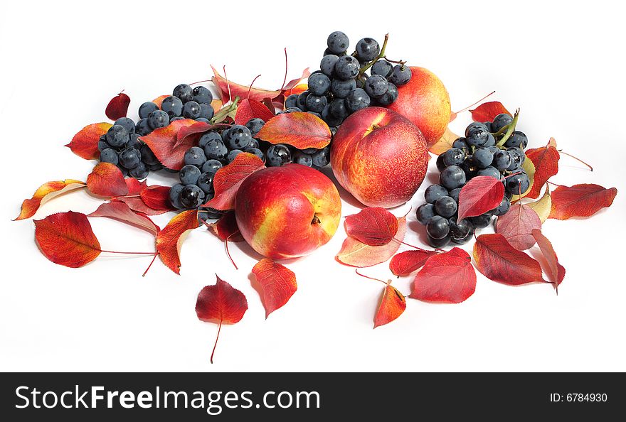 Fruts and autumn leaves isolated on white. Fruts and autumn leaves isolated on white