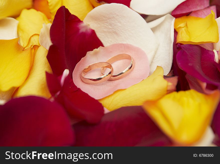 Wedding Rings On Pink Petal Of Roses.