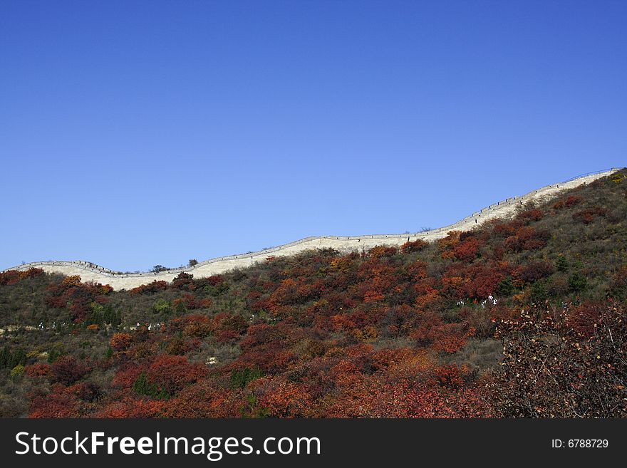 The Great Wall in china,taken  autumn in Beijing