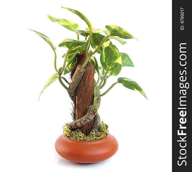 Artificial plant