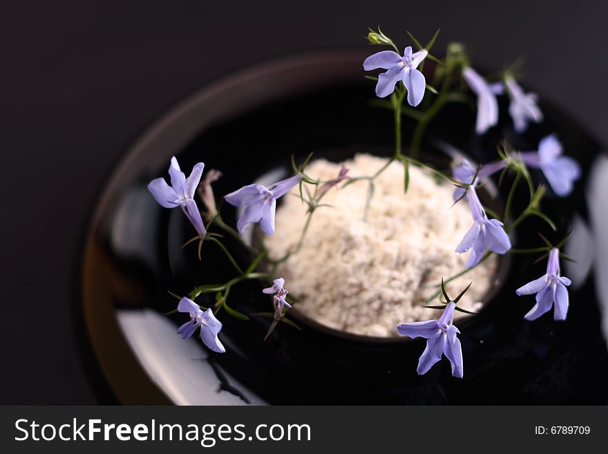 Small Blue Flower