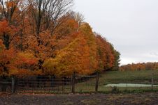 Fall Colors Royalty Free Stock Photography Fall Colors Royalty Free Stock Photography