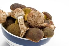 Raw Fresh Mushrooms Stock Image Raw Fresh Mushrooms Stock Image