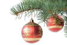 Fir Tree Branch With Decoration Royalty Free Stock Photography