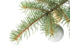 Fir Tree Branch With Decoration Royalty Free Stock Image