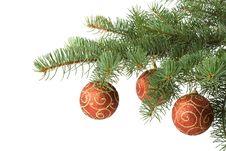 Fir Tree Branch With Decoration Stock Photography