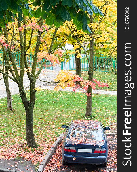 Car with fallen leaves on the street