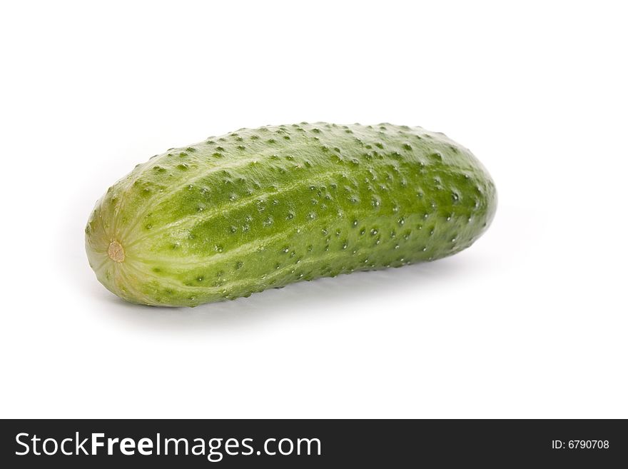 Cucumber