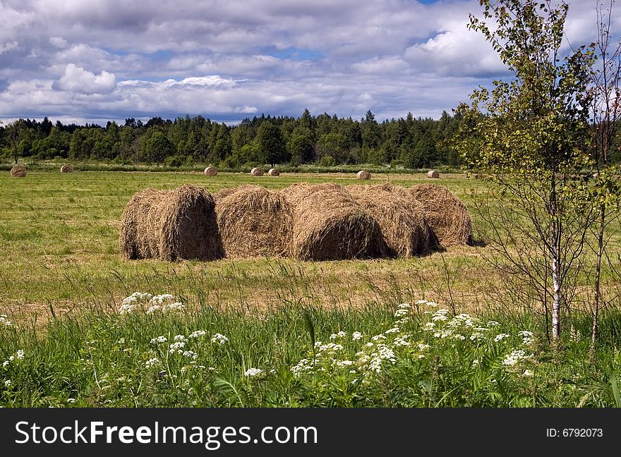 Hay-harvest on the russian field in summer. Hay-harvest on the russian field in summer