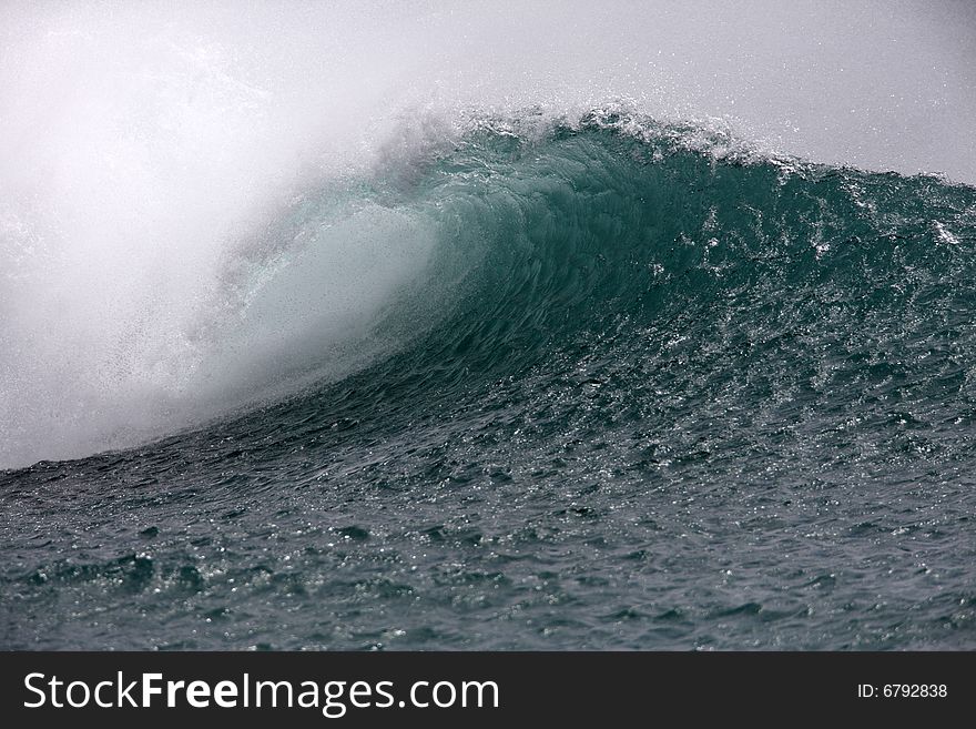 Hawaiian Southshore Wave