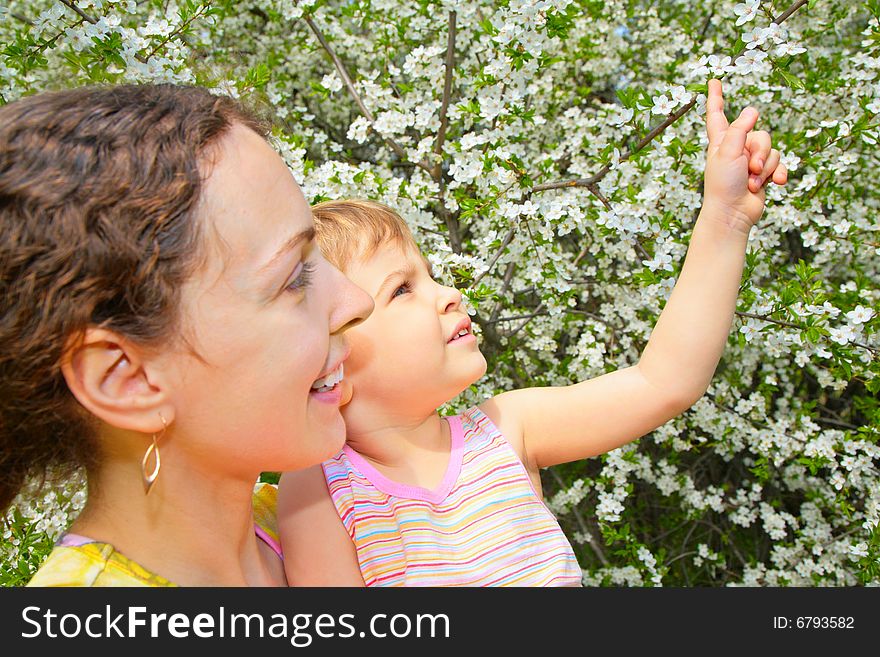 Mother And Daughter Look On Blossom Cherry